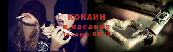 стафф Касимов